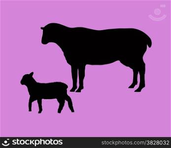The black silhouettes of a sheep and a lamb on lilac