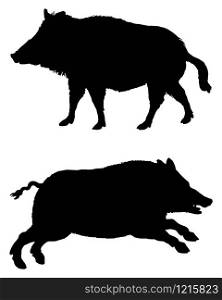 The black silhouettes of two boars on white