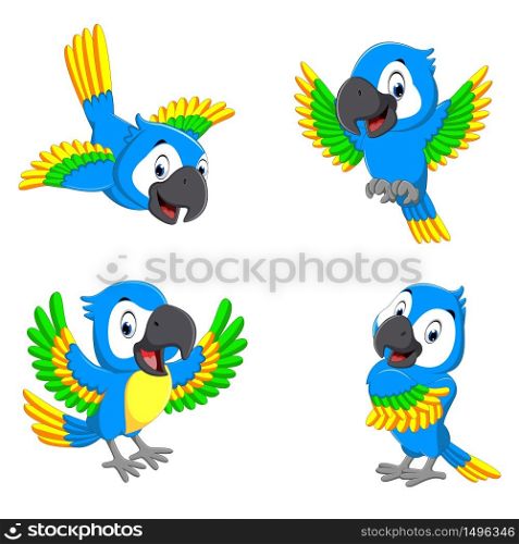 the collection of the blue parrots with happy faces