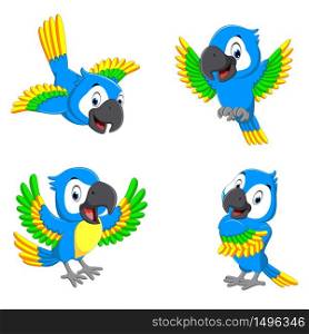 the collection of the blue parrots with happy faces