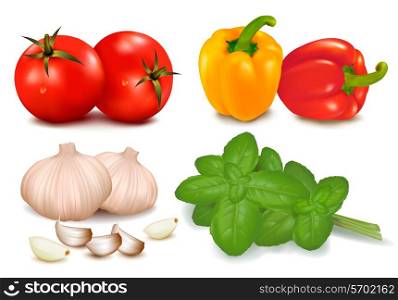 The colorful group of vegetables. Vector illustration.