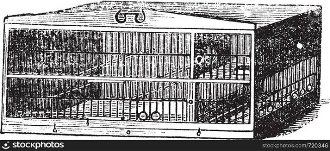 The compartment of cage, vintage engraving. Old engraved illustration of compartment of cage isolated on a white background.