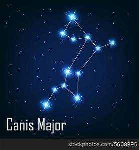 The constellation &quot; Canis Major&quot; star in the night sky. Vector illustration