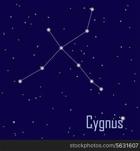 The constellation &quot; Cygnus&quot; star in the night sky. Vector illustration