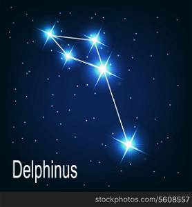 The constellation &quot;Delphinus&quot; star in the night sky. Vector illustration