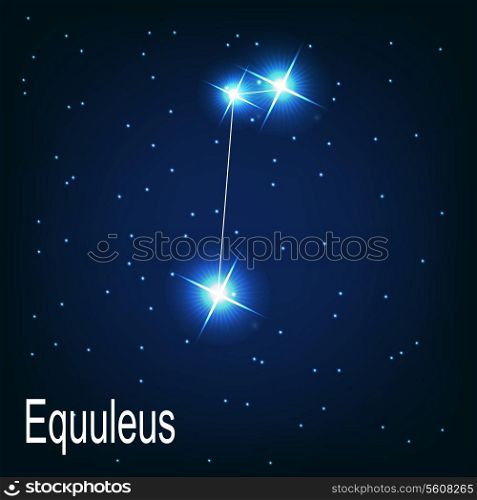 The constellation &quot; Equuleus&quot; star in the night sky. Vector illustration