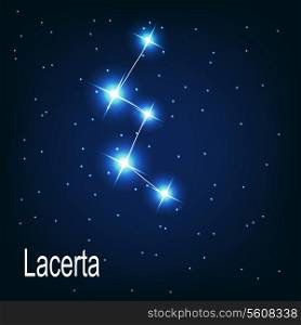 The constellation &quot;Lacerta&quot; star in the night sky. Vector illustration