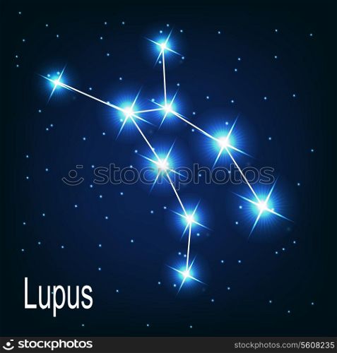 The constellation &quot;Lupus&quot; star in the night sky. Vector illustration