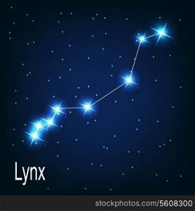 The constellation &quot;Lynx&quot; star in the night sky. Vector illustration