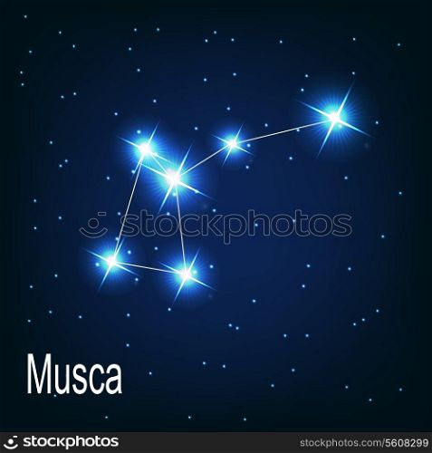 The constellation &quot;Musca&quot; star in the night sky. Vector illustration