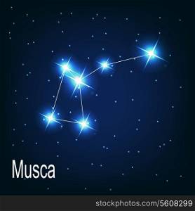 The constellation &quot;Musca&quot; star in the night sky. Vector illustration
