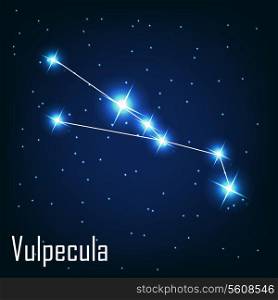 The constellation &quot; Vulpecula&quot; star in the night sky. Vector illustration