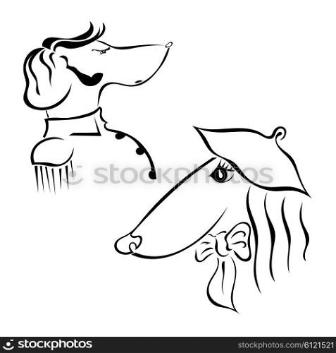 The couple breed dogs Greyhound. He and she. Hussars and the lady. Vector illustration.