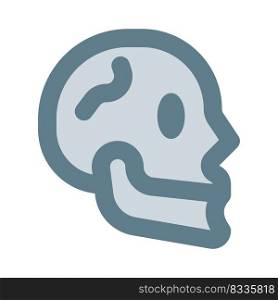 The cranium  skull  is the skeletal structure of the head that supports the face and protects the brain.