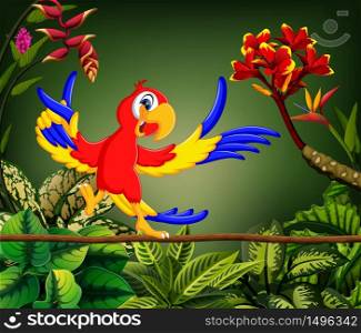 the cute parrot sings the song in the forest