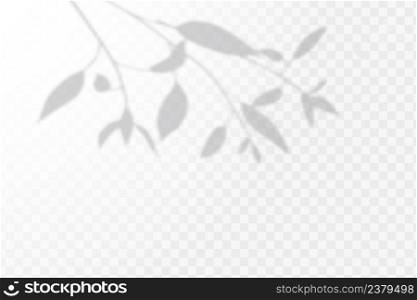 . The effect of overlaying shadows. Natural light layout.Realistic shadow tropical leaves and branches on transparent checkered background. Realistic shadow tropical leaves and branches on transparent checkered background. The effect of overlaying shadows. Natural light layout.