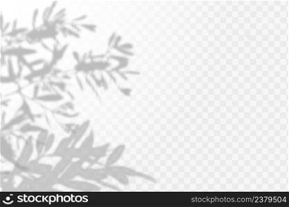 The effect of overlaying shadows. Natural light layout.Realistic shadow tropical leaves and branches on transparent checkered background.. Realistic shadow tropical leaves and branches on transparent checkered background. The effect of overlaying shadows. Natural light layout.