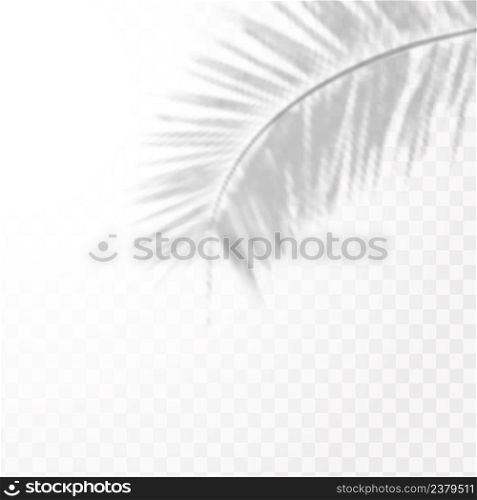 The effect of overlaying shadows. Natural light layout.Realistic shadow tropical leaves and branches on transparent checkered background.. Realistic shadow tropical leaves and branches on transparent checkered background. The effect of overlaying shadows. Natural light layout.