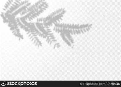The effect of overlaying shadows. Natural light layout.Realistic shadow of tropical leaves or branches on transparent checkered background.. Realistic shadow of tropical leaves or branches on transparent checkered background. The effect of overlaying shadows. Natural light layout.