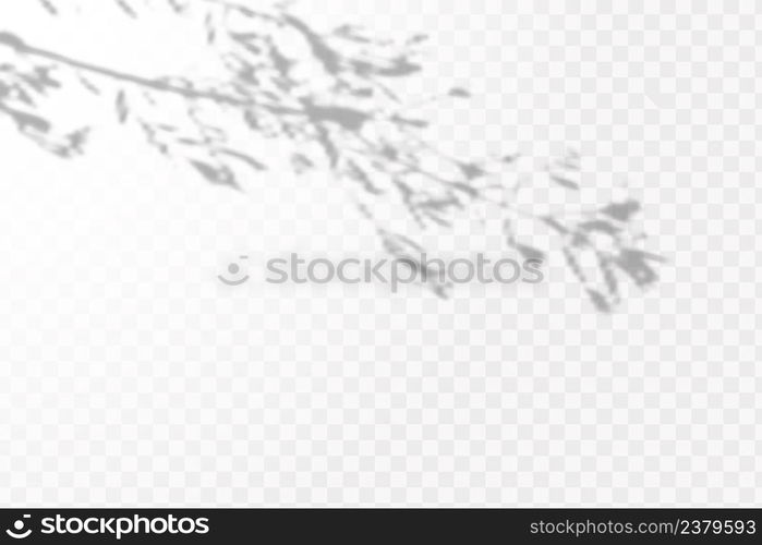 The effect of overlaying shadows. Natural light layout.Realistic shadow tropical leaves and branches on transparent checkered background.. Realistic shadow tropical leaves and branches on transparent checkered background. The effect of overlaying shadows. Natural light layout.