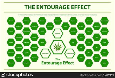 The Entourage Effect Overview horizontal infographic illustration about cannabis as herbal alternative medicine and chemical therapy, healthcare and medical science vector.