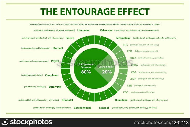 The Entourage Effect Proportion horizontal infographic illustration about cannabis as herbal alternative medicine and chemical therapy, healthcare and medical science vector.