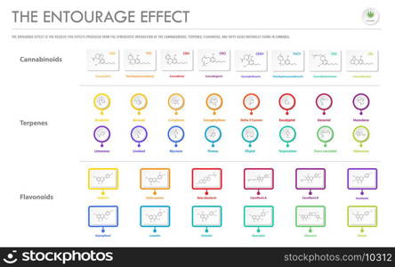 The Entourage Effect with Structural Formulas horizontal business infographic illustration about cannabis as herbal alternative medicine and chemical therapy, healthcare and medical science vector.