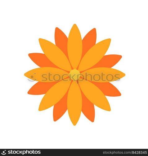The front is a colorful flower. Isolated on white background.
