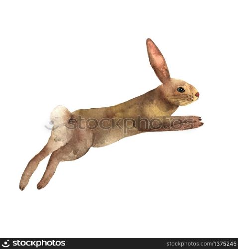 The hare runs with long ears and legs. Elements for a happy Easter and farms design in watercolor. Pretty rabbit. Cute bunny. Vector