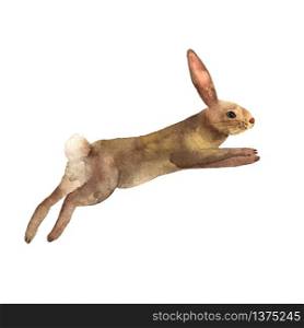 The hare runs with long ears and legs. Elements for a happy Easter and farms design in watercolor. Pretty rabbit. Cute bunny. Vector