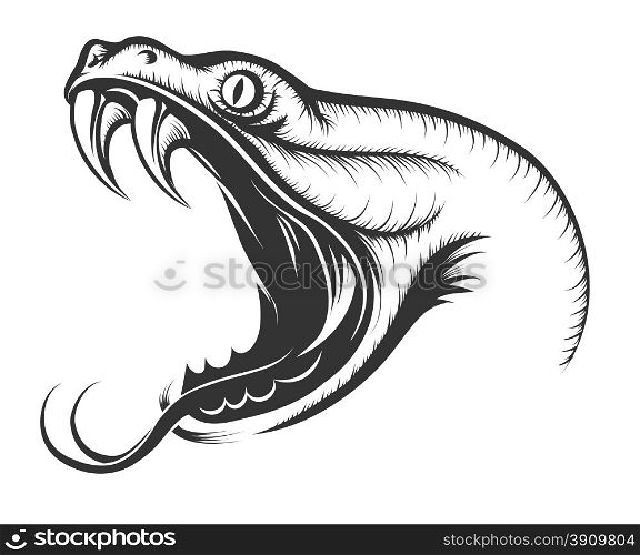 The head of Snake. Engraving style. Isolated on white.