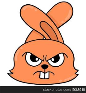 The head of the orange rabbit is angry and full of revenge