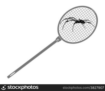 The illustration of a fly swat above spider