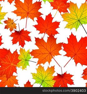 The illustration of seamless pattern with red, green, yellow maple leaves on white background without transparency