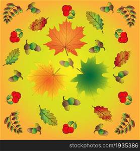 The illustration presents a colorful, bright, festive natural background on the theme of the forest in autumn. Contains attributes of the flora of the autumn forest.. Autumn forest background with leaves, berries, acorns
