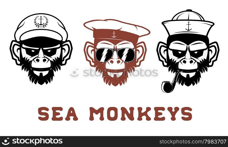 The image monkeys portraits in the salor hat. T-short design template. Vector illustration.