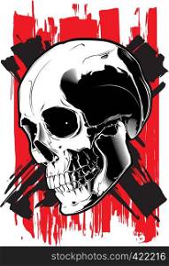 The image of the skull. Vector illustration. Isolated on white.