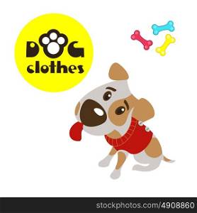 The Jack Russell Terrier. Dog, vector illustration. The Jack Russell Terrier. Clothing for dogs.