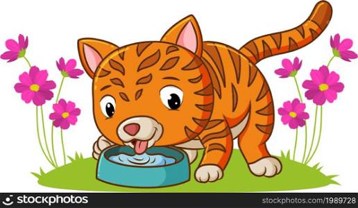 The kitten are drinking the water in the garden of illustration