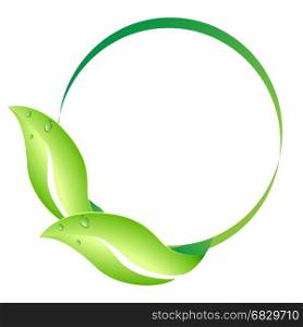 the leaf circle design on white background