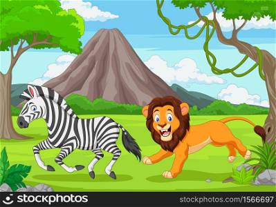 The lion is chasing a zebra in an African savanna
