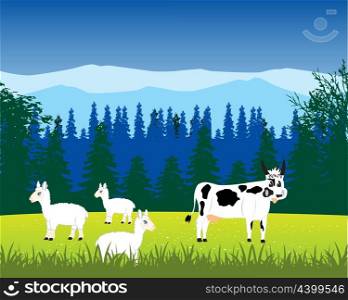 The Livestock to bemoan on alpine meadow.Vector illustration. Pets animals on nature