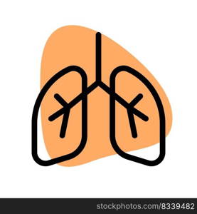 The lungs are a pair of spongy, air-filled organs located on either side of the chest  thorax 