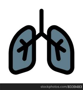 The lungs are a pair of spongy, air-filled organs located on either side of the chest  thorax 