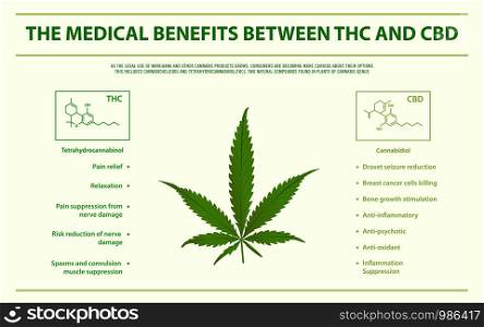 The Medical Benefits Between THC and CBD horizontal infographic illustration about cannabis as herbal alternative medicine and chemical therapy, healthcare and medical science vector