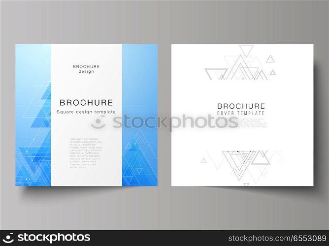 The minimal vector editable layout of two square format covers design templates for brochure, flyer, magazine. Polygonal background with triangles, connecting dots and lines. Connection structure. The minimal vector editable layout of two square format covers design templates for brochure, flyer, magazine. Polygonal background with triangles, connecting dots and lines. Connection structure.