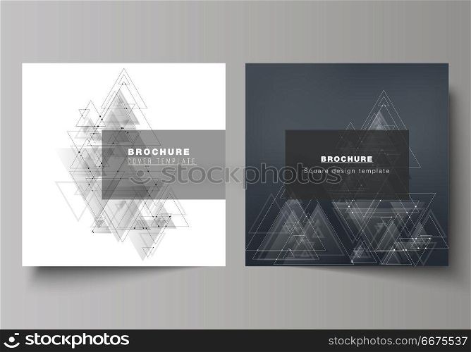 The minimal vector editable layout of two square format covers design templates for brochure, flyer, magazine. Polygonal background with triangles, connecting dots and lines. Connection structure.. The minimal vector editable layout of two square format covers design templates for brochure, flyer, magazine. Polygonal background with triangles, connecting dots and lines. Connection structure