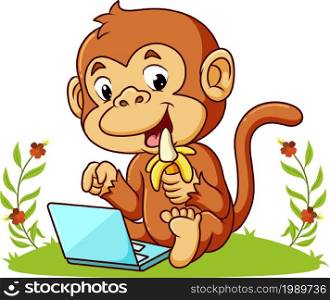 The monkey is eating the banana and playing the laptop of illustration
