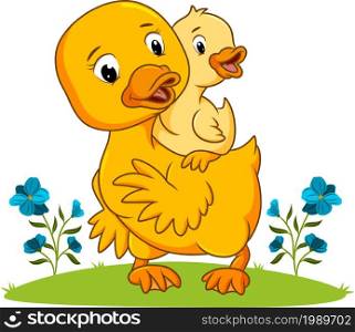 The mother duck is playing with the duck of illustration