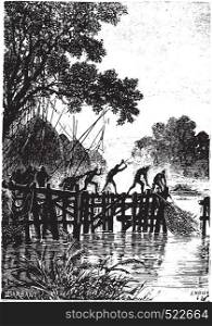 The natives, however, quickly hauled their nets, vintage engraved illustration.